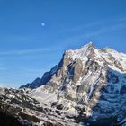 Wetterhorn, Grindelwald