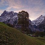 Wetterhorn (Grindelwald)