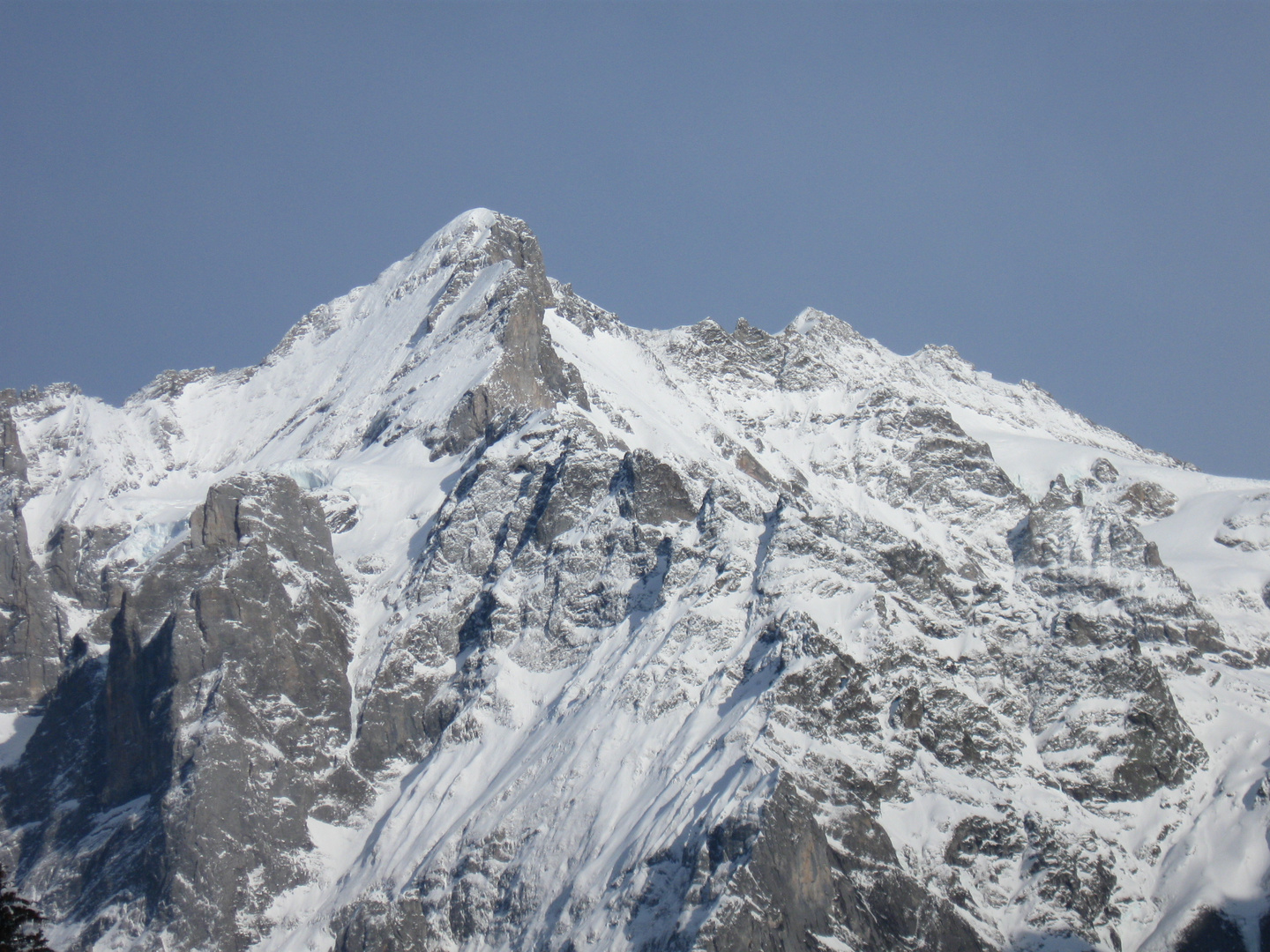 Wetterhorn Massiv