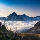 Wetterhorn & Schreckhorn