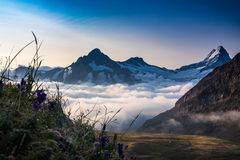 Wetterhorn & Schreckhorn