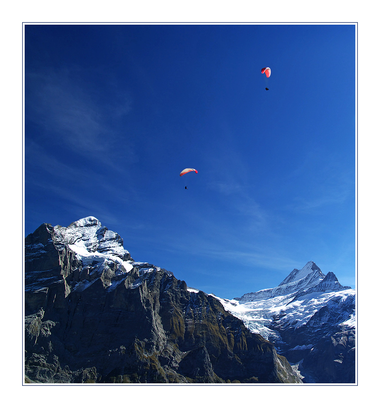 Wetterhorn, Schreckhorn und 2 Grittibänze