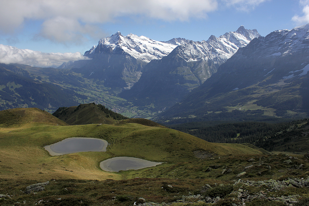 Wetterhorn und Schreckhorn