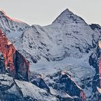 WETTERHORNGRUPPE im Abendlicht