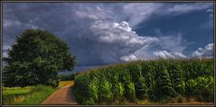 Wetterkapriolen