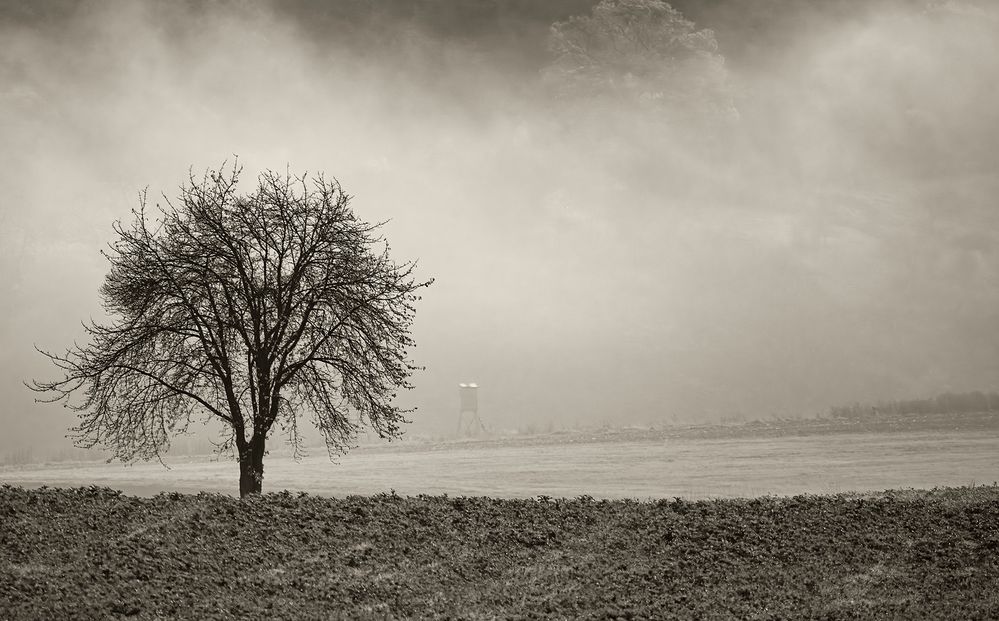 Wetterkapriolen