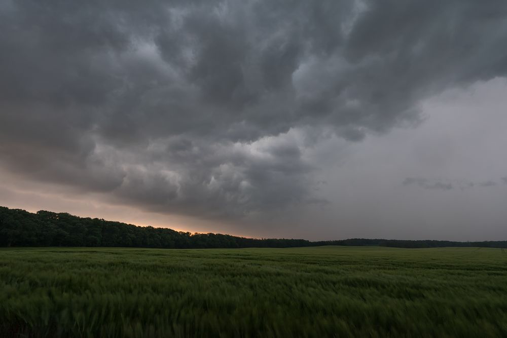 Wetterkapriolen