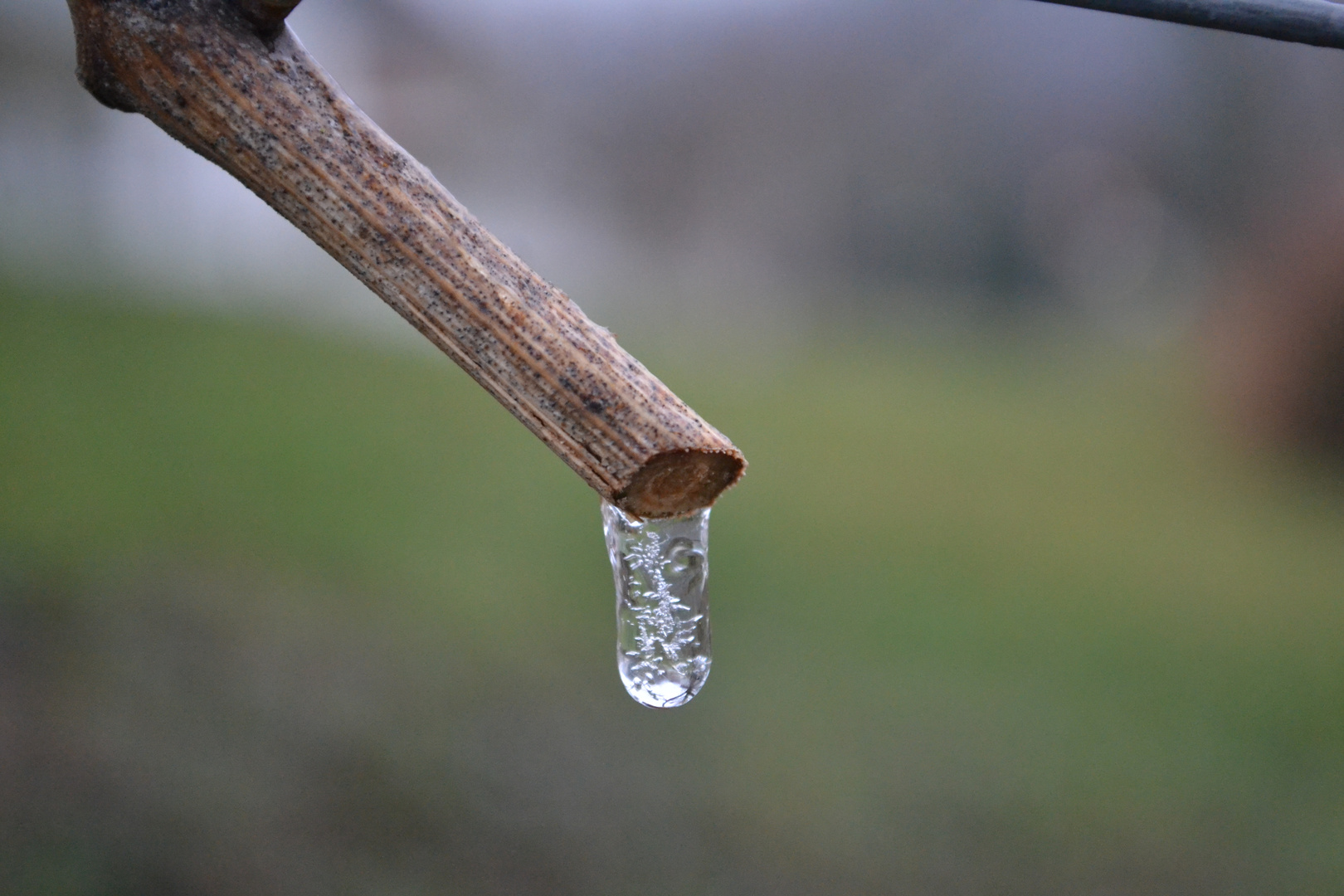 Wetterkapriolen