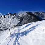 Wetterkapriolen