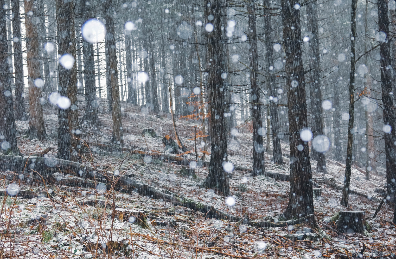 Wetterkapriolen