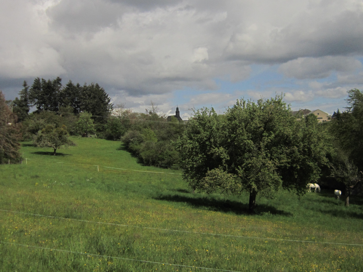 Wetterkapriolen