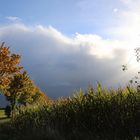 Wetterkapriolen-April oder Oktober?