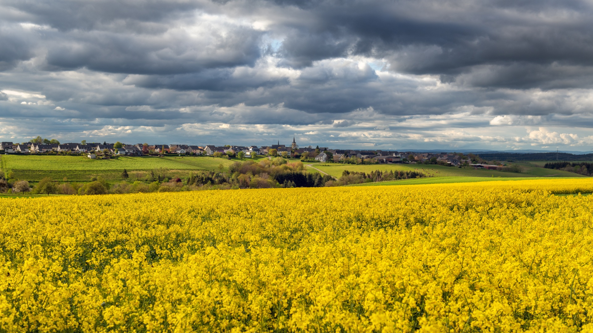 Wetterkapriolen auf dem Hochwald