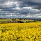 Wetterkapriolen auf dem Hochwald