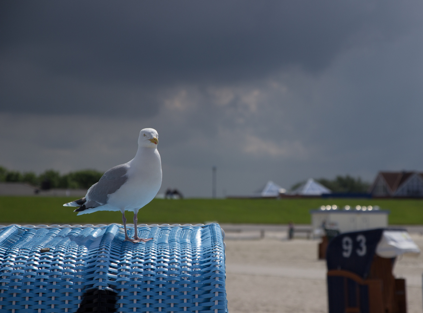 Wetterkapriolen!!!!