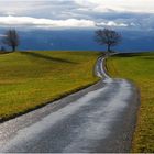 Wetterkapriolen im Dezember