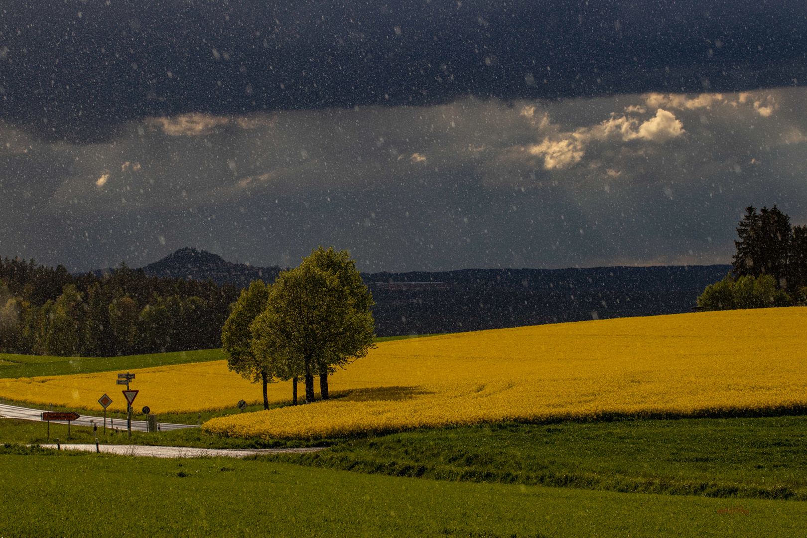 Wetterkapriolen im Mai !!