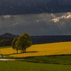 Wetterkapriolen im Mai !!