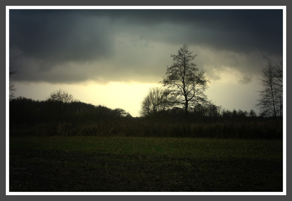 Wetterkariolen II.....