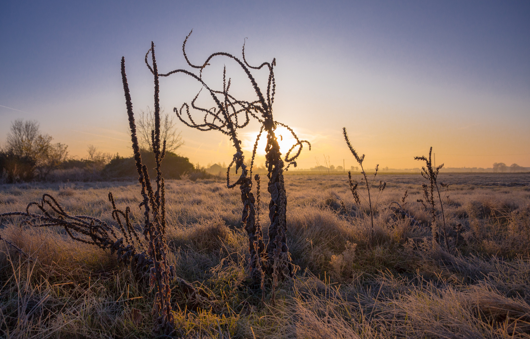 Wetterkerze am Morgen