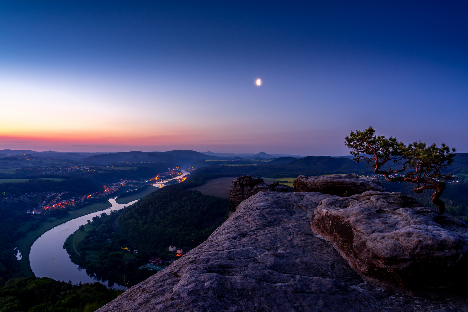 Wetterkiefer auf dem Lilienstein