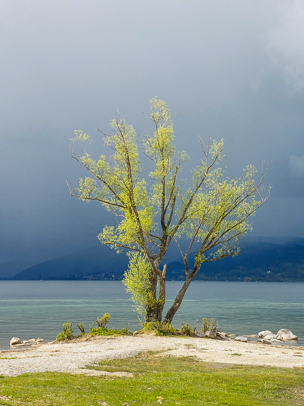 Wetter.Kommt.