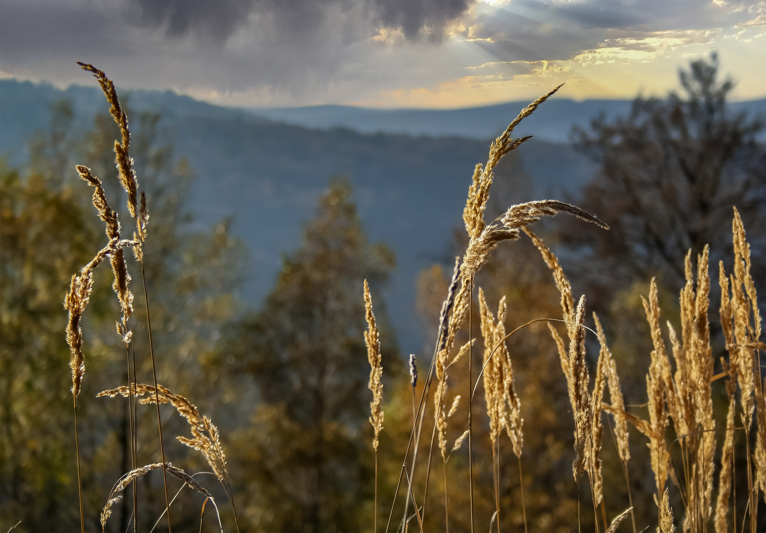 Wetterkontraste im Harz