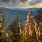 Wetterkontraste im Harz