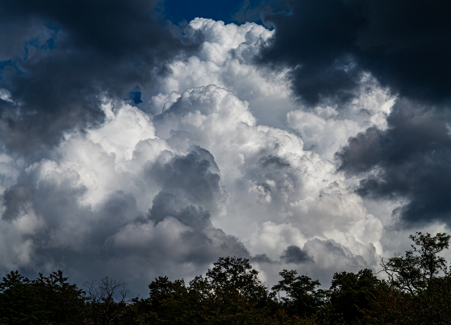 Wetterküche