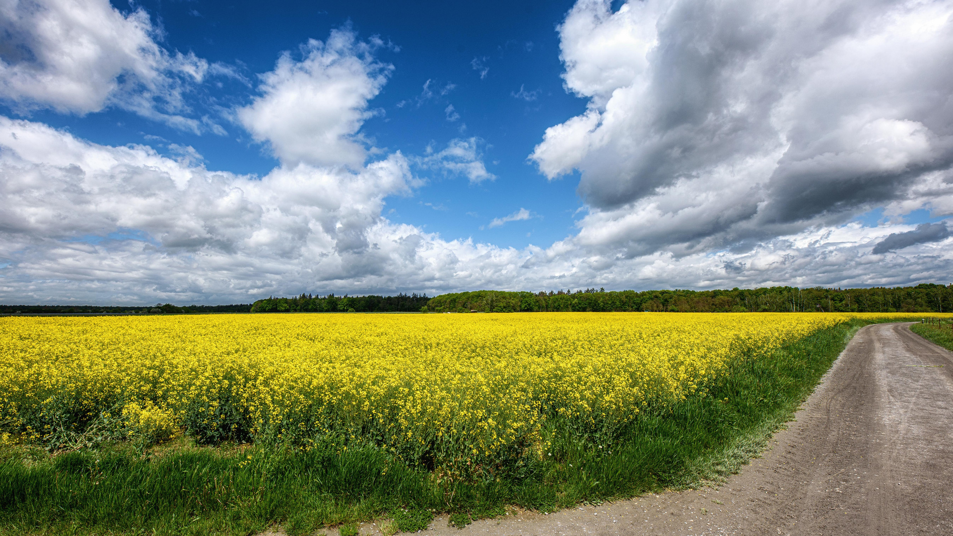 Wetterküche über dem Rapsfeld