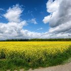 Wetterküche über dem Rapsfeld