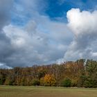 Wetterküche überm Auenwald