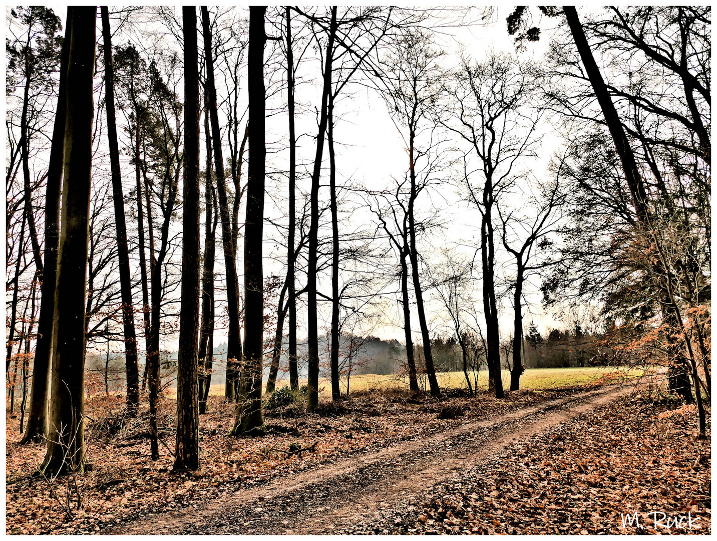 Wetterlage Ende Januar 24