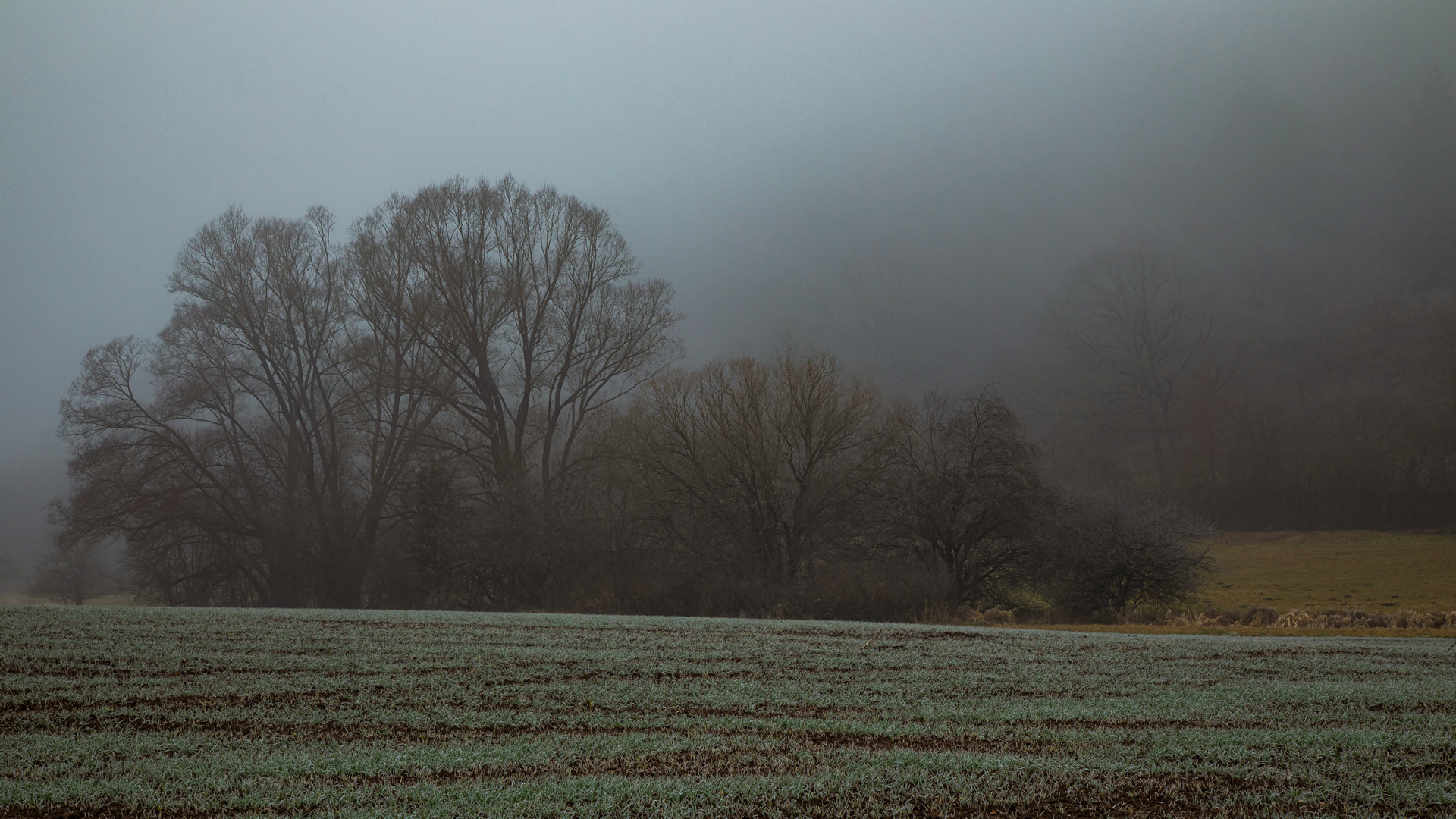 WETTERLAGE - GESTERN UND HEUTE