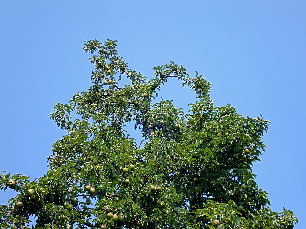 Wetterlage in Ellerdorf