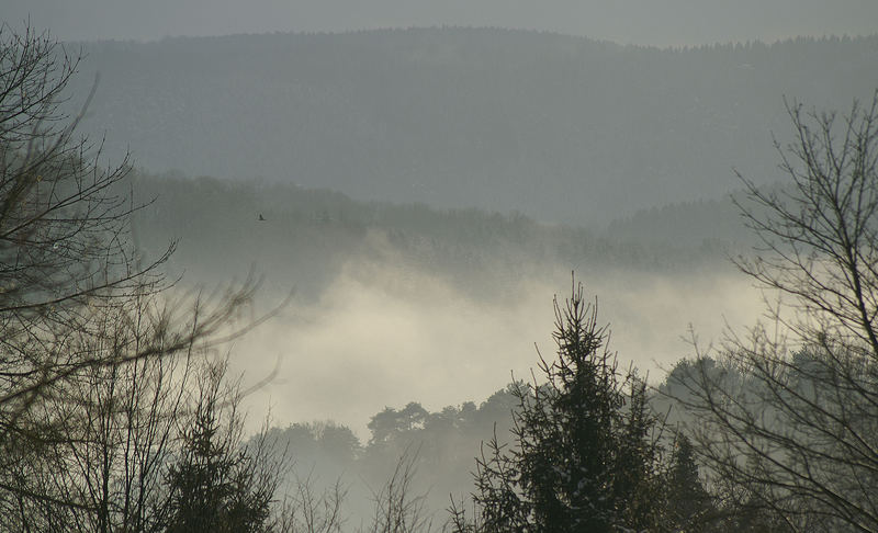 Wetterlaunen