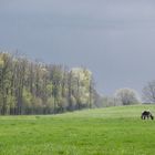 Wetterleuchen