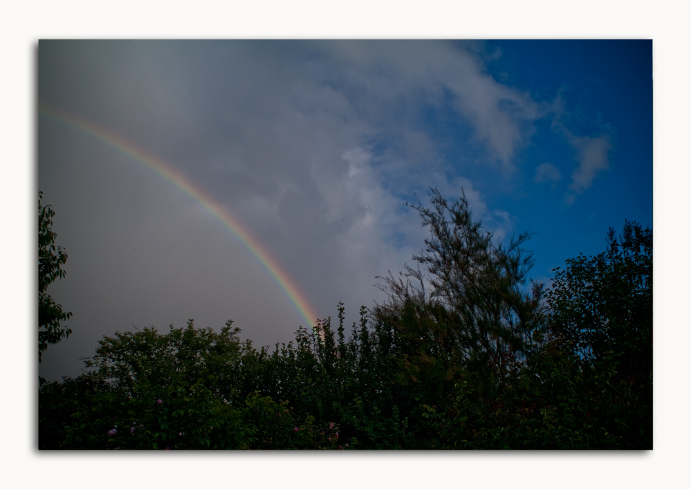 wettermeldung regen