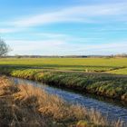 Wettern im Friesenwerder Moor