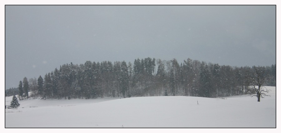 Wetterprognose für die nächsten Tage