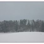 Wetterprognose für die nächsten Tage