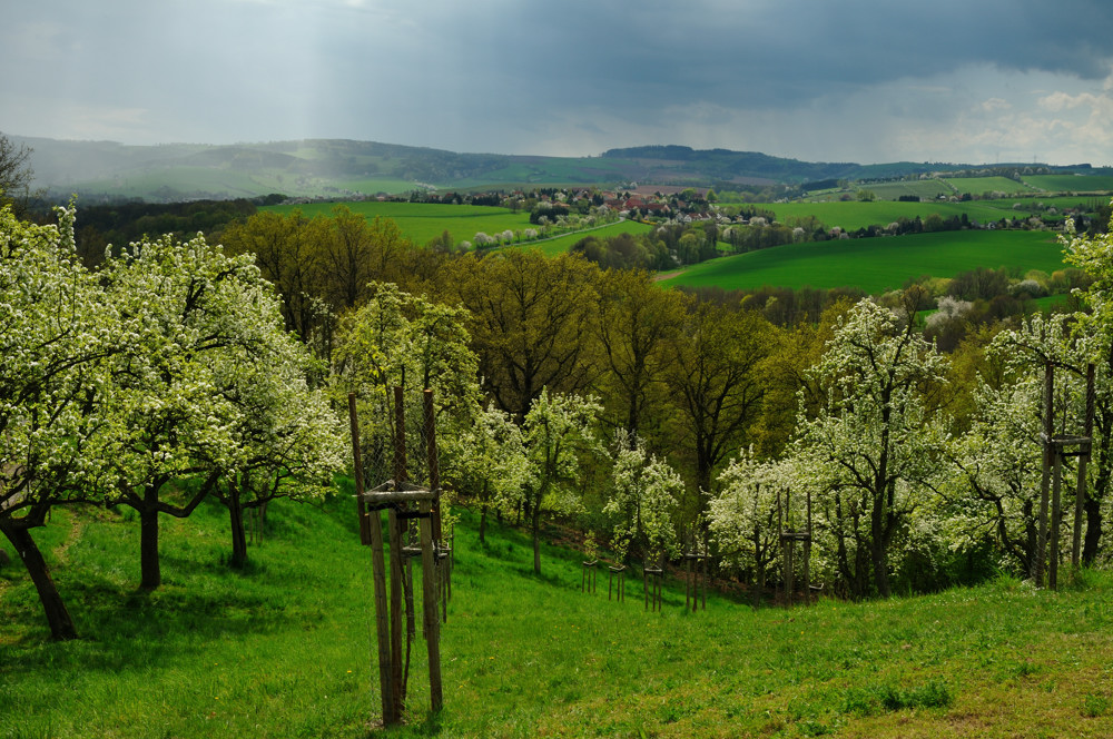 Wetterscheide