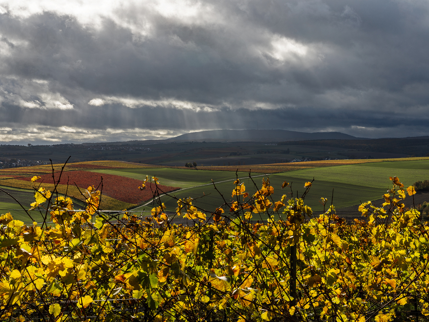 Wetterscheide Donnersberg