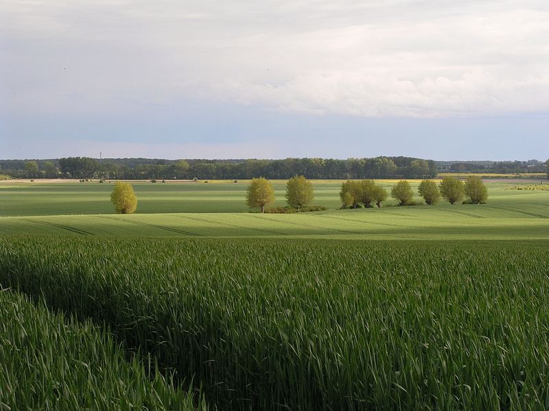 Wetterspiele