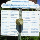 Wetterstation