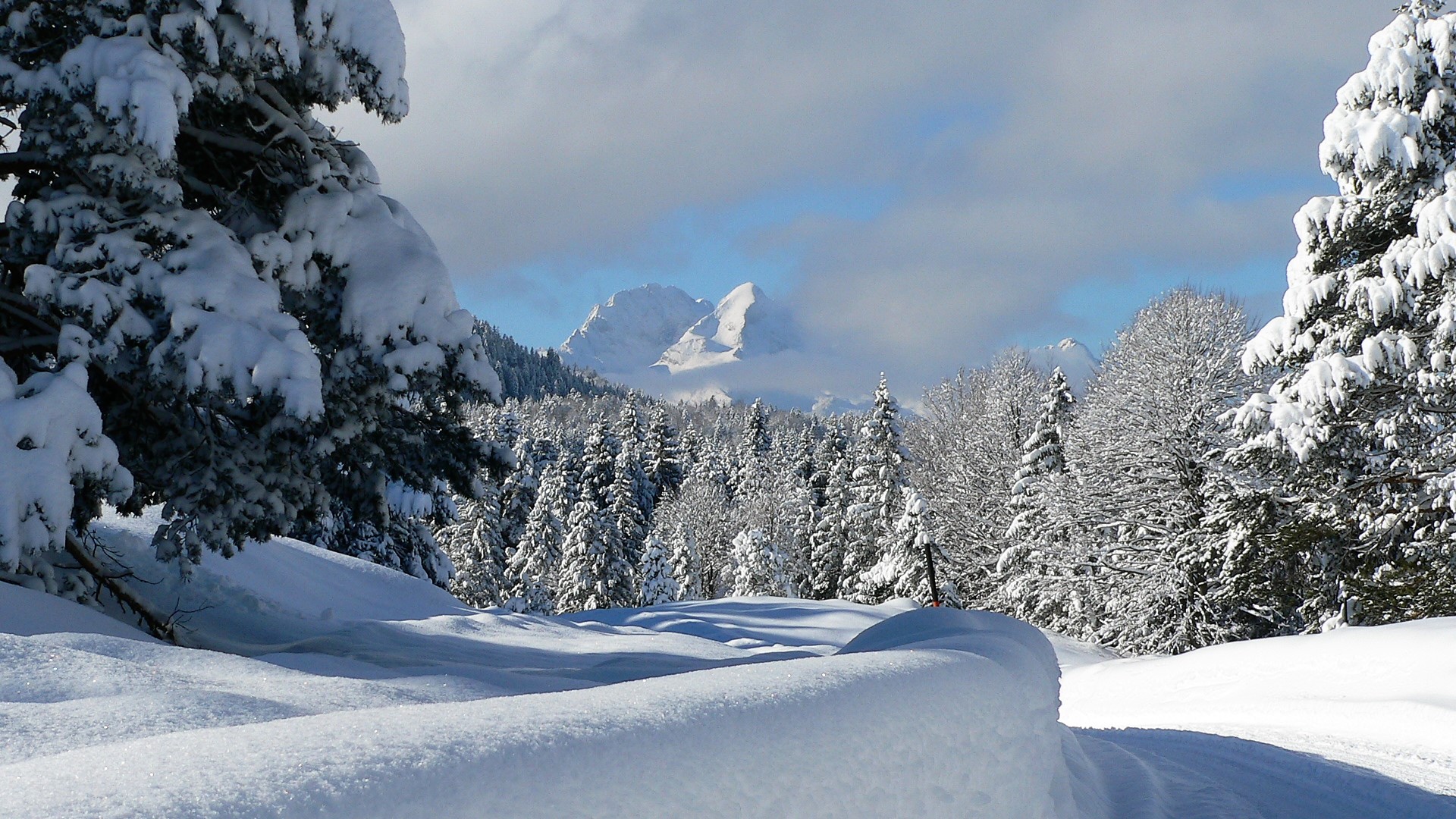 wetterstein