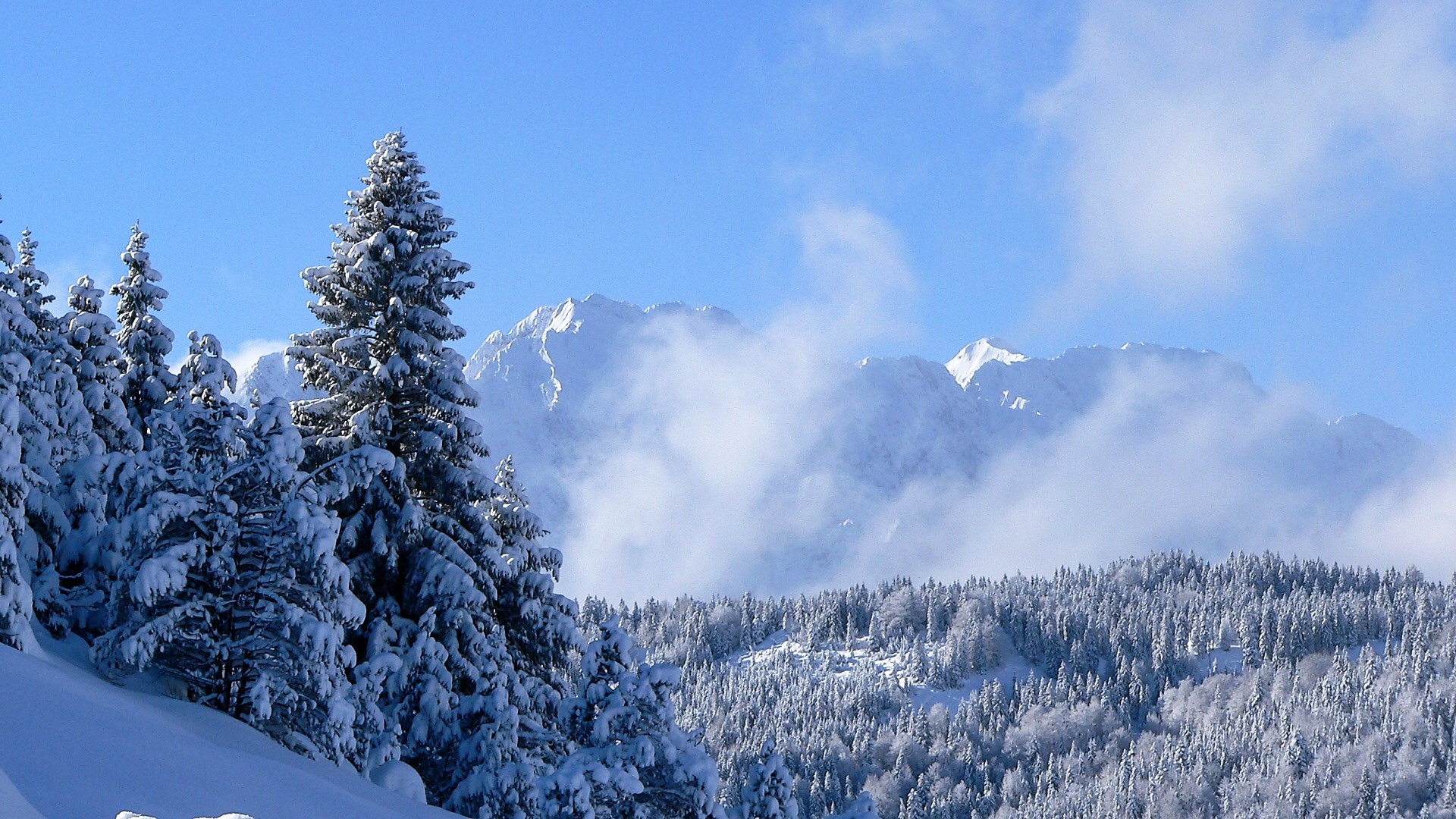 wetterstein