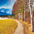 Wetterstein-Gebirge_Kruen_Birkenweg_2