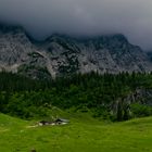 Wettersteinalm I