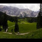 Wettersteinalm II